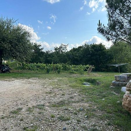 شقة Au Coeur Des Bois Saint-Germain-du-Salembre المظهر الخارجي الصورة